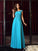 Sleeveless Applique A-Line/Princess Scoop Long Chiffon Dresses