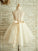 A-Line/Princess Sleeveless Tulle Lace Tea-Length Scoop Flower Girl Dresses