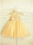 Tea-Length Scoop Sleeveless A-line/Princess Tulle Lace Flower Girl Dresses