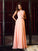 Sleeveless Neck A-Line/Princess Applique High Long Chiffon Dresses