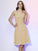 Short Short Sleeves Pleats A-Line/Princess V-neck Chiffon Bridesmaid Dresses