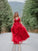 Tulle Applique A-Line/Princess Sleeveless V-neck Floor-Length Dresses